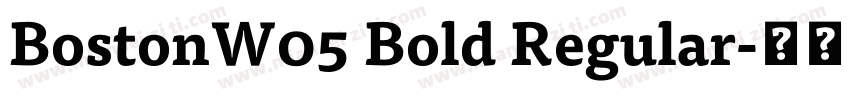 BostonW05 Bold Regular字体转换